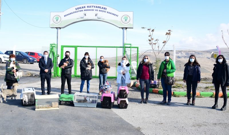 21 Hayvan Mamak Belediyesi Barınağı’na teslim edildi