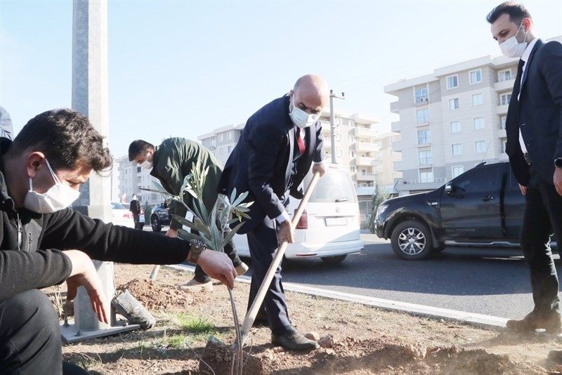 Mardin Valisi Mahmut Demirtaş, Nusaybin İlçesinde Ağaçlandırma Etkinliğine Katıldı