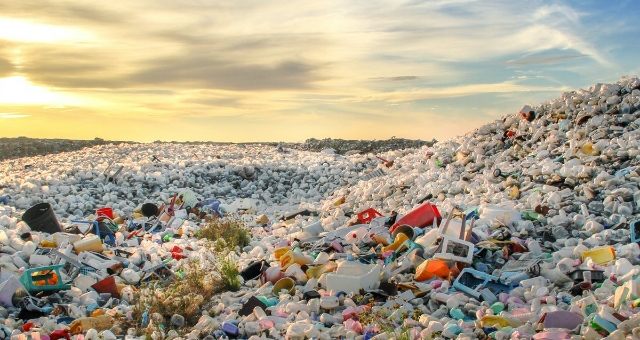 Ücretli poşet uygulaması 354 bin tonluk plastik atığı önledi