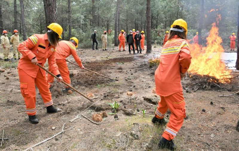 Orman yangınlarıyla gönüllü mücadelede Hedef 100 bin gönüllü