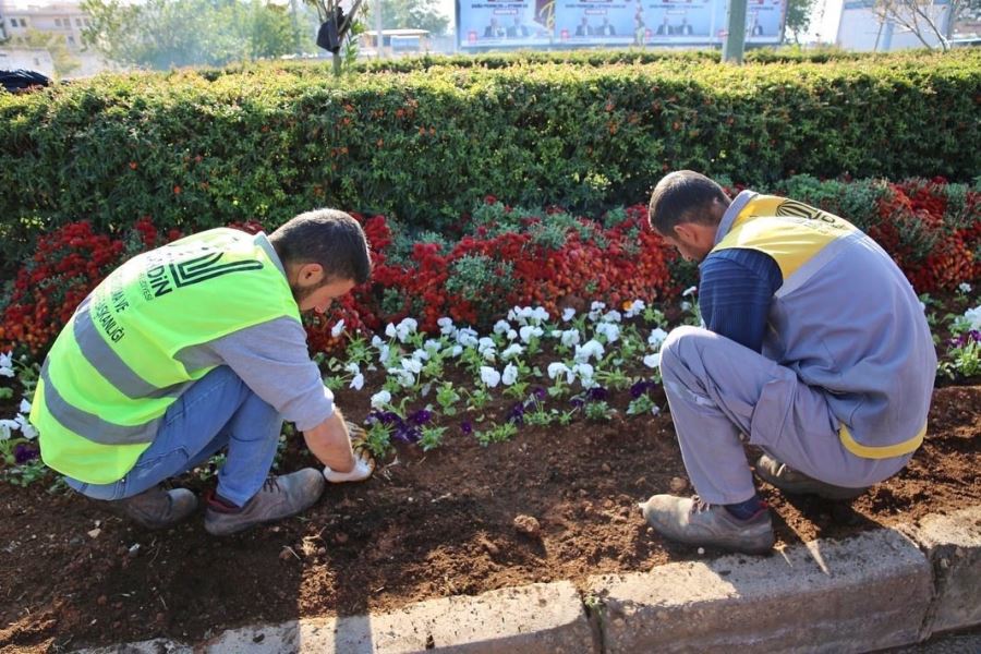 Mardin Büyükşehir Belediyesi Yeşil Bir Mardin İçin Çalışıyor