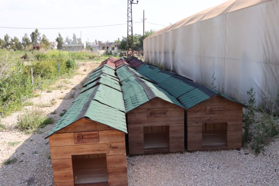 Kızıltepe Hayvan Barınağı ve Rehabilitasyon Merkezi İçin İlk Kazma Vuruldu