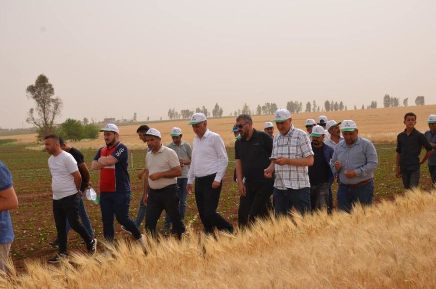 Mardin’in Tarımsal Ürün Çeşitliliği Artuklu Üniversitesi ile Artacak