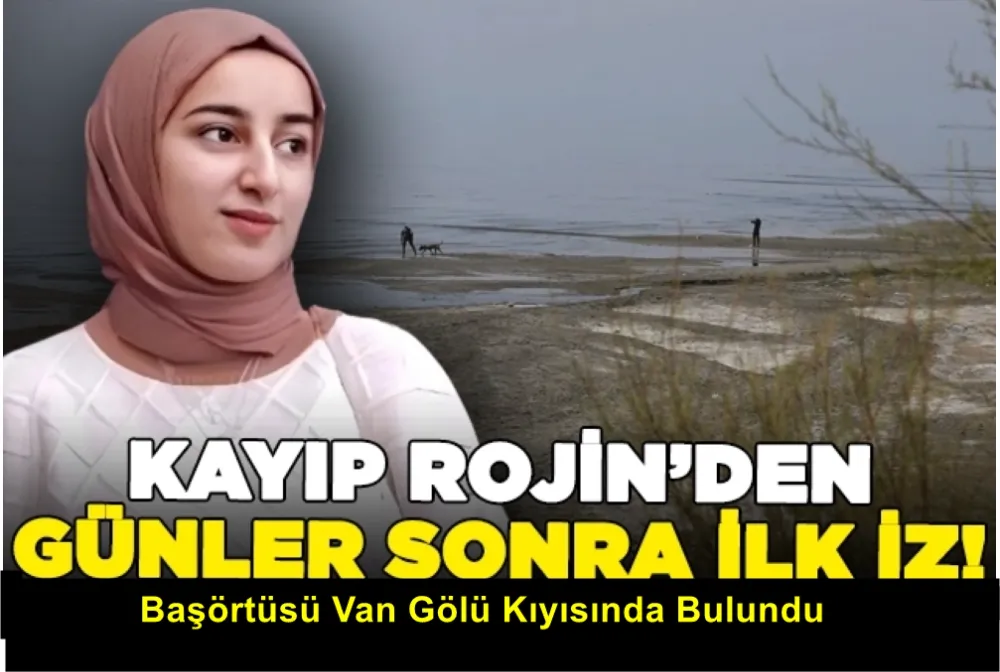 Kayıp Rojin