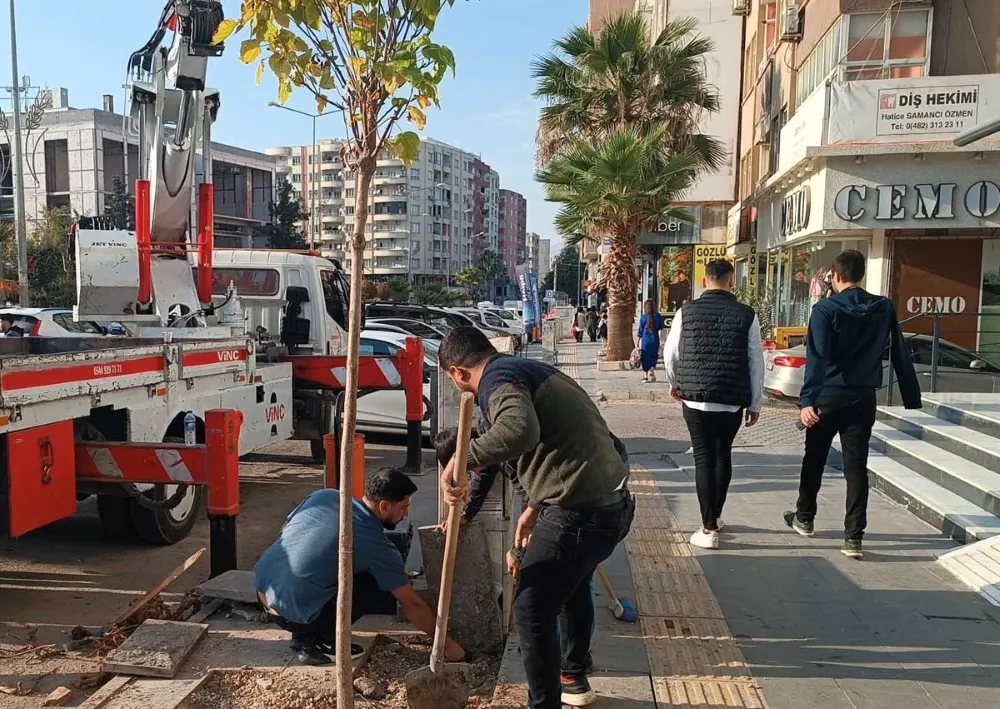 Mardin’de Ağaç Kesen Şahıslara Cezai İşlem Uygulanarak Yerine Fidan Dikildi