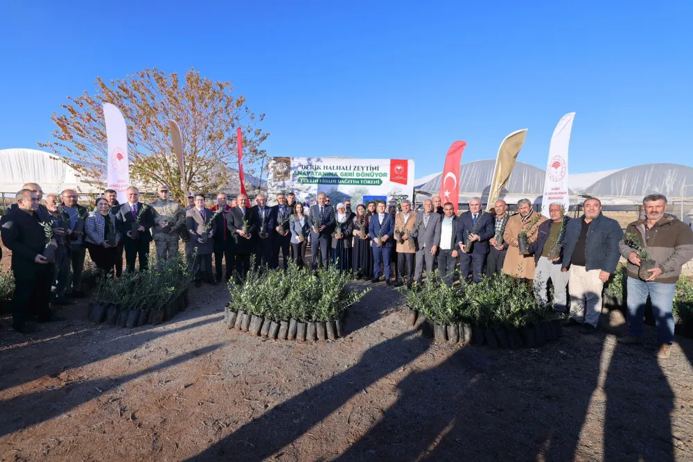 Mardin Valisi  Akkoyun, Derik İlçesinde Çiftçilere Zeytin Fidanı Dağıttı