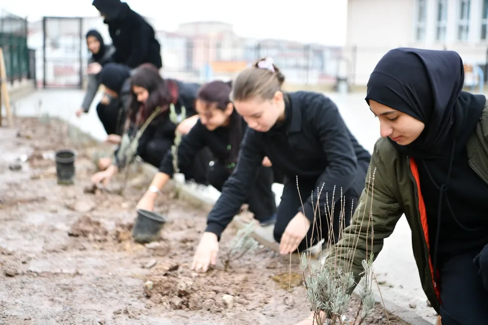 MMAK BELEDİYESİ OKULDA LAVANTA FİDESİ EKTİ