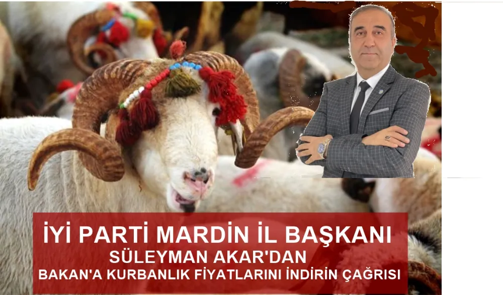 İYİPARTİ MARDİN İL BAŞKANI SÜLEYMAN AKAR