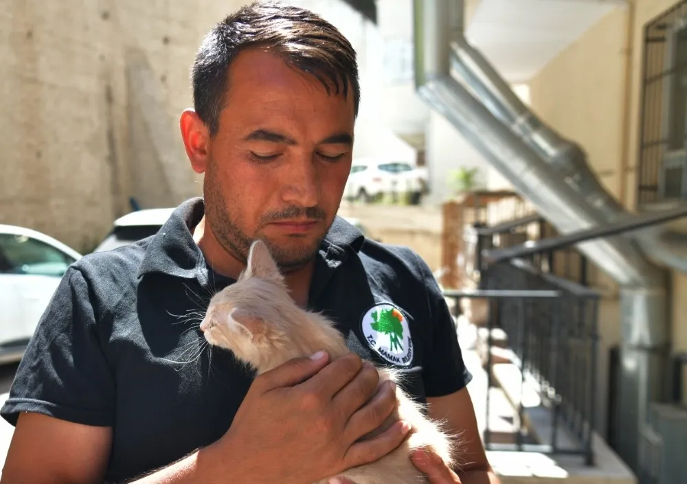Mamak Belediyesi ekipleri yavru kediler için seferber oldu