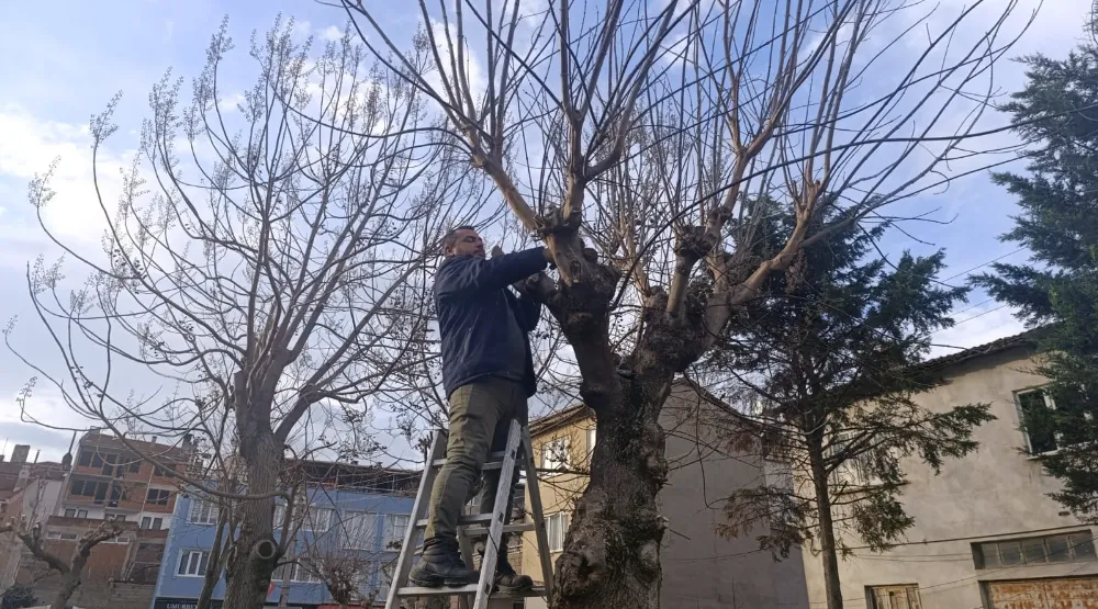 Gemlik