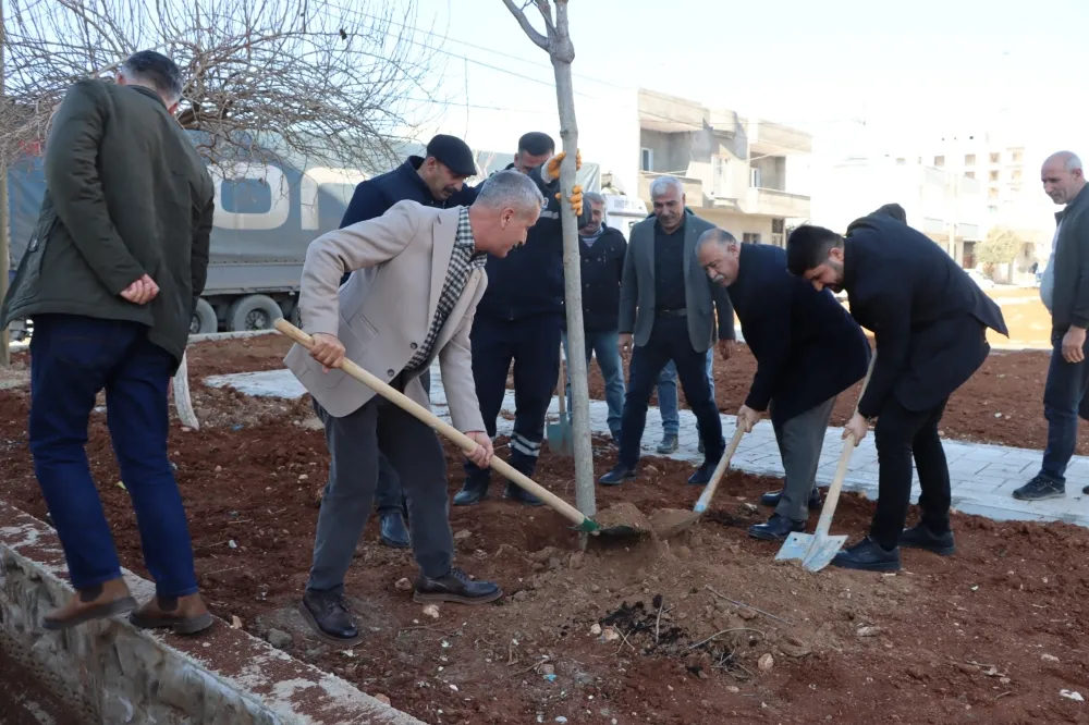 KIZILTEPE BELEDİYE BAŞKANI ZEYNİ İPEK AĞAÇ DİKTİ