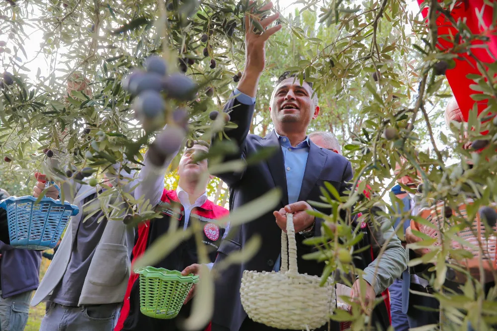 Zeytinin Yolculuğu Aliağa’da Şenlikle Kutlandı