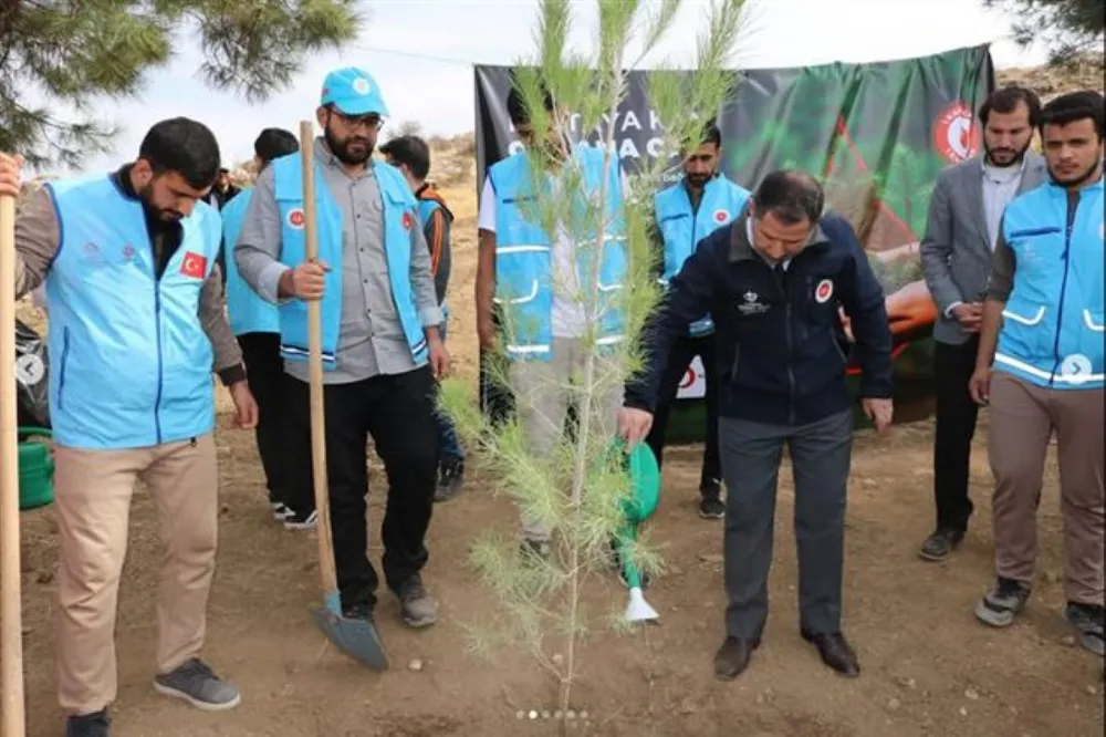 Milli Ağaçlandırma Günü Kapsamında Mardin il müftülüğünden fidan dikimi