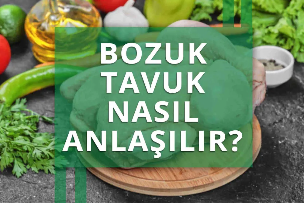 TAVUĞUN BOZULDUĞU NASIL ANLAŞILIR?