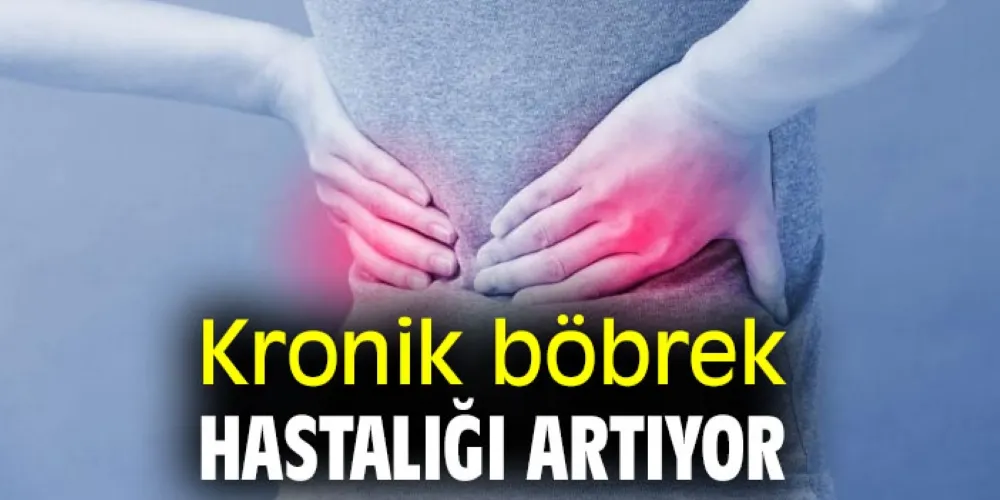 BÖBREK HASTALIKLARI HIZLA YAYGINLAŞIYOR: