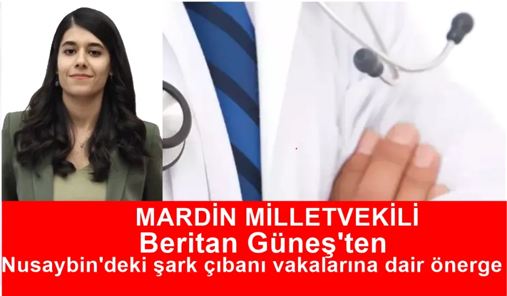  Beritan Güneş