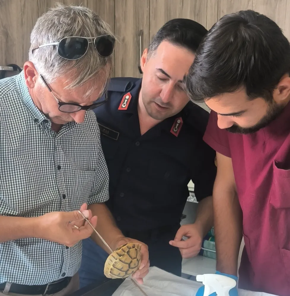 POLATLI JANDARMA KOMUTANI ÜZERİNDE KENE BULUNAN KAPLUMBAĞA
