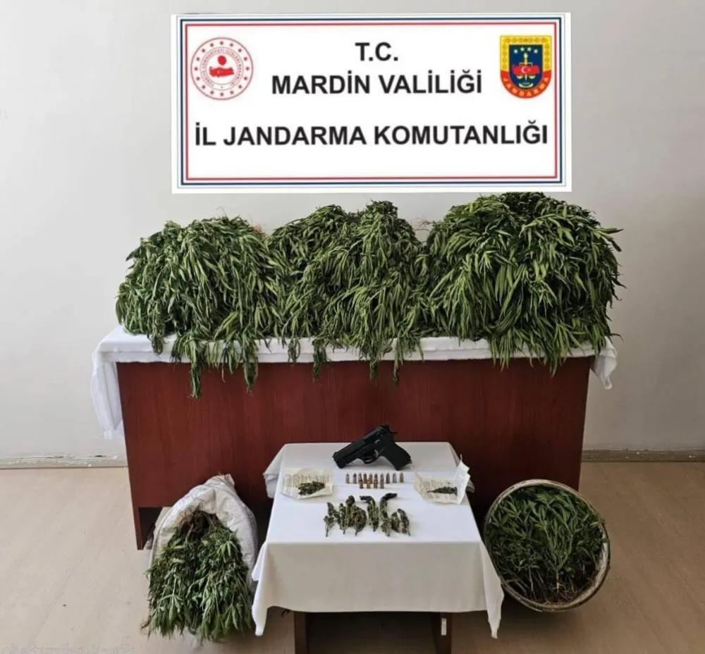 Mardin Jandarmasından Nusaybin’de Uyuşturucu Üreticilerine Operasyon