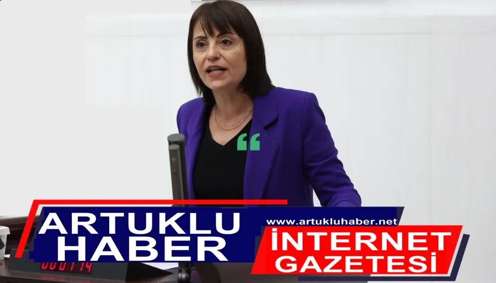 Emekli Maaşlarının Yükseltilmesi Hakkında Araştırma ve Soru Önergesi Verdi