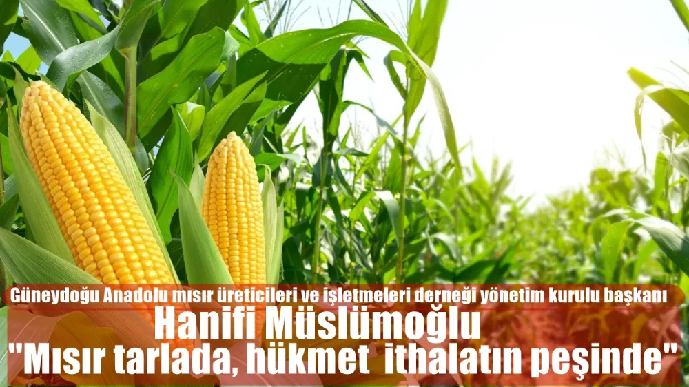 BAŞKAN MÜSLÜMOĞLU;