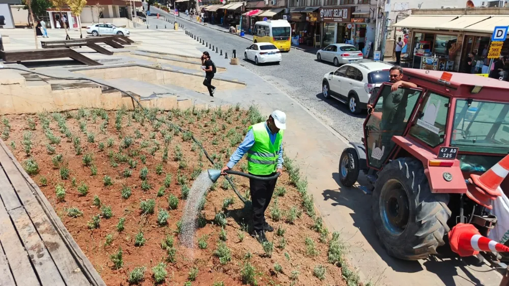 Tarihi 1. Cadde ve Cumhuriyet Meydanı Lavanta Kokacak