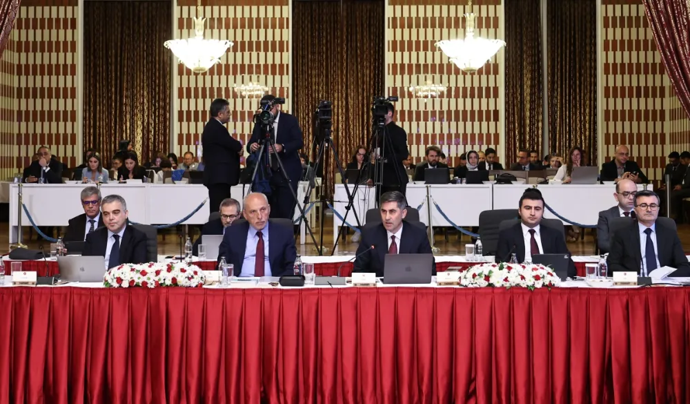 Milli Dayanışma, Kardeşlik ve Demokrasi Komisyonu, TBMM